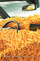 FriesEN-rs.png